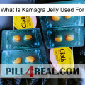 What Is Kamagra Jelly Used For cialis5